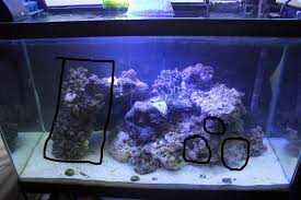 An underwater landscape for your saltwater aquarium. Aquascape Ideas Aquascaping Reef Tank