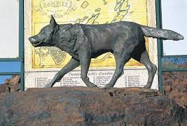 The True Story Of Australia S Red Dog Red Dog Dog Statue Australian Animals