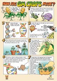 Pin On Awesome Biology Resources