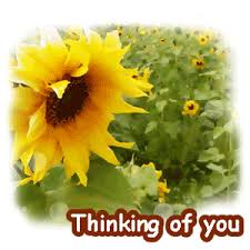 This thinking of you card pops out at you, just like how that certain someone keeps popping into your thoughts. Gif Thinking Of You Animated Gif On Gifer