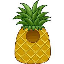 Welcome to officially website of club penguin rewritten 2019. Cp Rewritten Pineapple Grape Bunch Costumes Club Penguin Mountains