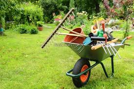 10 Tools You Need To Maintain Your Backyard In 2020 Garden Services Garden Maintenance Garden Tools