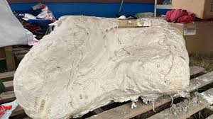 Katharina Amalia Hot Video Sextape Onlyfans Trending Ppv Pornviral contentmust-see leak