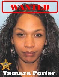 Tamara Porter's Instagram, Twitter & Facebook