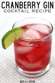Cranberry Gin Drink Recipe Mix That Drink Gin Drink Recipes Gin Cocktail Recipes Refreshing Drinks Recipes