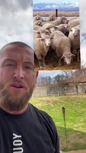 Battle of Symbols: Lamb vs Serpent