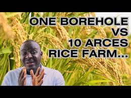 Mr. Soybean' inducted into the Hall of Fame