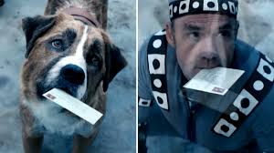 The story of the sled dog, togo, who led the 1925 serum run, but was considered by most to be starring willem dafoe and julianne nicholson, the disney+ original movie, togo, is the untold true story set in the winter of 1925 that treks across. Togo Call Of The Wild Disney Has It Both Ways We Minored In Film