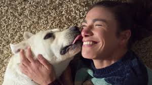 CSE 481C Spring 2023