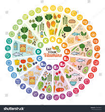 vitamin food sources functions rainbow wheel stock vector