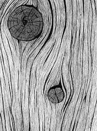 Image Result For Wood Grain Drawing Drawings Ink Drawing Concrete Sculpture