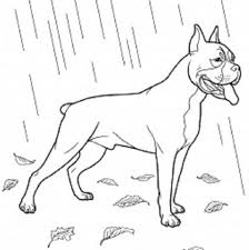 Boxer Dog Coloring Pages Coloring Pages Trend Dog Coloring Book Dog Coloring Page Puppy Coloring Pages