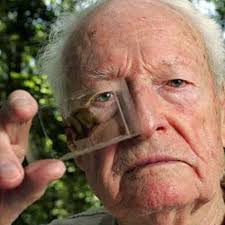 Thomas Stoltz Harvey screenshots, images and pictures