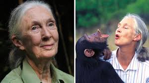 Living Legend Dr. Jane Goodall Is Coming To Halifax
