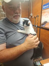 Babies find forever homes