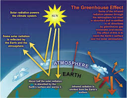 the greenhouse effect niwa