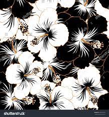 Hibiscus Flowers In Black And White Colors Flower Background Wallpaper Flowers Black Background Black Background Wallpaper
