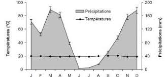 Image result for Vernonia lampropappa