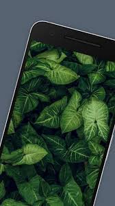 This green aesthetic wallpaper contains many wallpapers about all green aesthetic. Green Aesthetic Wallpaper Hd Backgrounds For Android Apk Download
