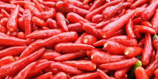 7 Langkah Mudah Cara Menanam Cabe Sendiri Di Rumah Agar Tidak Takut Saat Harga Cabe N Merdeka Com