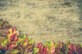 Best high quality border wallpapers collection for your phone. Autumn Border Wallpaper With Fallen Leaves On Wooden Background Stock Photo Picture And Royalty Free Image Image 82974795
