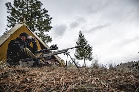 Field Stock owners: let's see your...