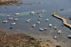 Epingle Sur Sud Bretagne