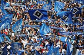 There are two main types of hsv: Hsv Supporters Club Stories