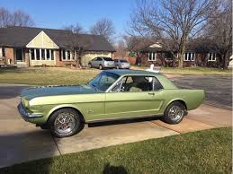 Image result for Honey Gold 1965 Mustang