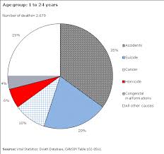 Percentage Distribution For The 5 Leading Causes Of Death In