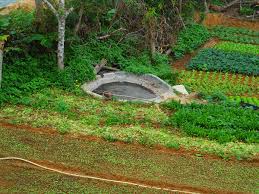 The higher the number, the more nitrogen the fertilizer provides. Organic Fertilizer Wikipedia