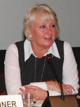 Global Platform for Disaster Risk Reduction Bulletin