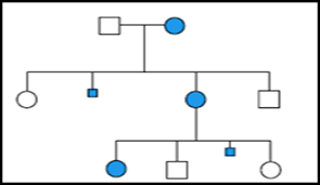 Biology Exams 4 U Pedigree Chart X Linked Dominant Disorders