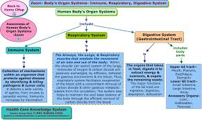 Zoom Body S Organ Systems Immune Respiratory Digestive System Html