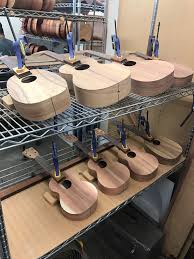 The vibrant green color lights up a room and looks dramatic when spilling out of pots. Instruments Ukulele Tutorials And Downloads For Beginners Musical Mama