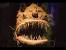 Mariana Trench Challenger Deep