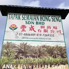 Nursery worker | pekerja tapak semaian (based in estate). Tapak Semaian Hong Seng Sdn Bhd Photos Facebook