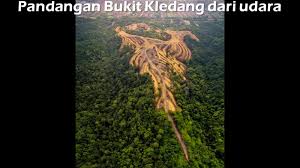 Hutan simpanan bukit timah wikipedia bahasa melayu ensiklopedia bebas. Petition Hentikan Dengan Serta Merta Pembangunan Di Kawasan Hutan Simpanan Kekal Change Org