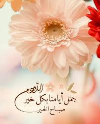 Https Flic Kr S Ahskreuzjg Good Morning Images Flowers Good Morning Beautiful Images Good Morning Arabic