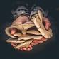 Mushroom Foraging Walk with Nick Phillips 2025 event image
