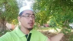 We did not find results for: Cara Merawat Demam Campak Dengan Daun Semambu Daun A