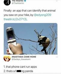 Genius App Funny Pictures Funny Laugh