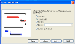 Find The Microsoft Project Critical Path In This Video Tutorial