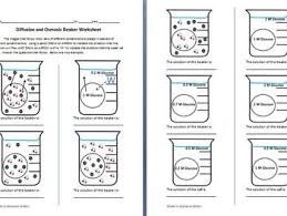 Osmosis And Diffusion Worksheet Science Store Worksheets Shape Tracing Worksheets