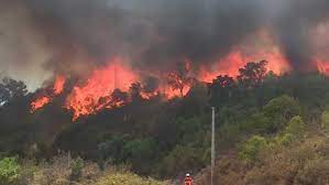 Dominado fogo que deflagrou no algarve este artigo tem mais de 1 ano o incêndio que deflagrou ao início da tarde em são marcos da serra, no algarve, foi dado como dominado às 22h20. Fogo Que Comecou Em Monchique Alastra Maior Preocupacao E Em Portimao Junto Ao Autodromo Fora De Campo Jornal Record