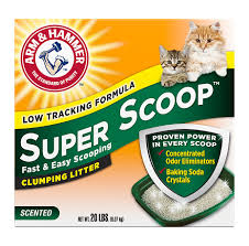 Arm Hammer Double Duty Advanced Odor Control Clumping Cat Litter 40lbs Reviews 2020