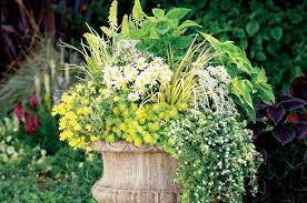 But left unchecked, some vines, such as trumpet vine or wisteria, may smother perennials growing nearby. Container Ideas Perennials In Pots Gardening Birds Blooms
