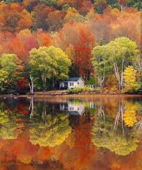 Autumn Vibes Photo By Snappedbycam Whats Your Favorite Autumn Scenery Autumn Landscape Beautiful Landscapes