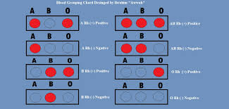 Difference Between O Positive And O Negative Compare The