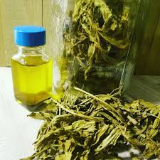 Image result for Inhambanella